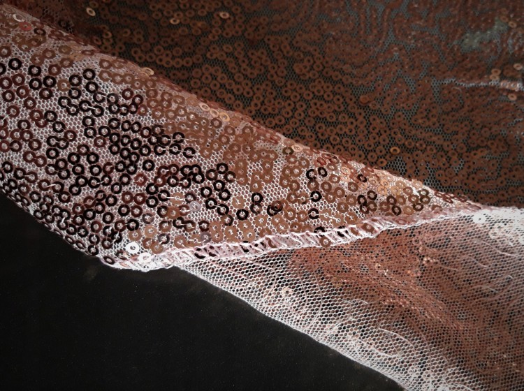 0d79e26148018a5c2347ca95e734